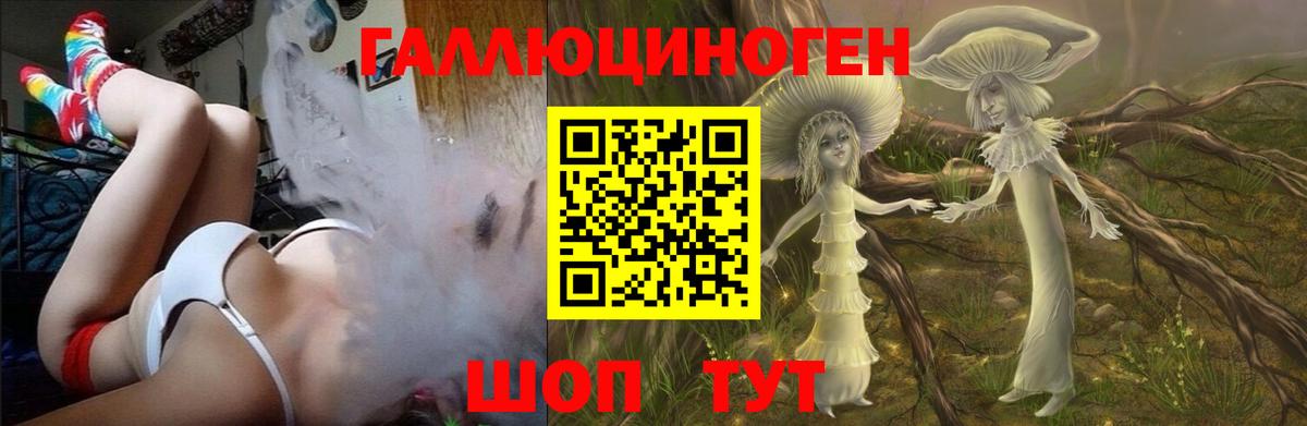 Псилоцибиновые грибы мицелий  Вход с VPN  Волгоград  Псилоцибиновые грибы MAGIC MUSHROOMS 